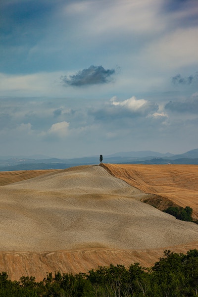 Picture of a wheat field in Italy